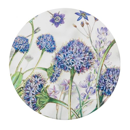 Product Coaster Brunonia Australis01