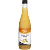 Product Reduced Sugar Ginger Refreshing Cordial