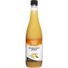 Product Reduced Sugar Ginger Refreshing Cordial